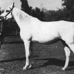 KAMLA
