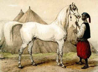 Arabian art