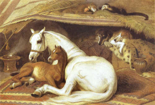 Arab art8