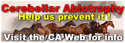 Cerebellar-abiotrophy.org